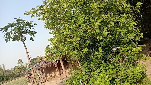 Bulsa