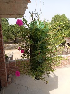 Dev Nivas Mishrapur
