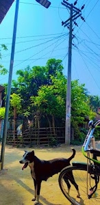 Usmanpur