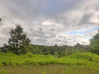 Gaavit Pada