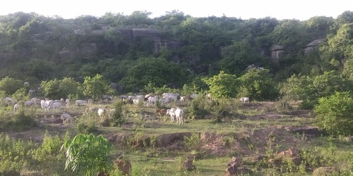 Bhogara