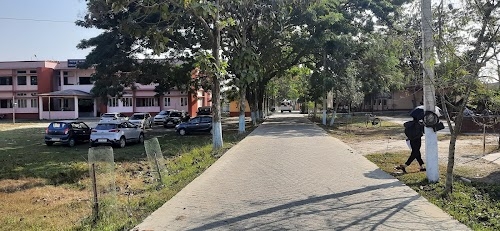 Barpeta