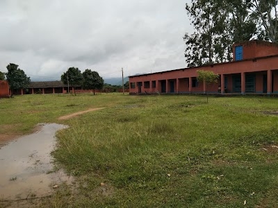 Kalinga Degree College