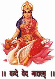 Shakti Minerals & Chemicals
