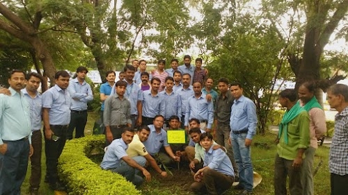 fenesta building systems