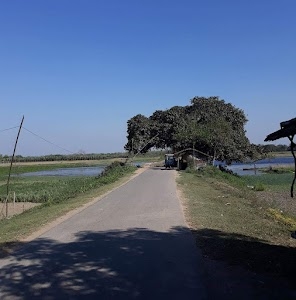 Juranpur