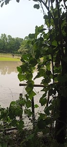 Gonga Temple
