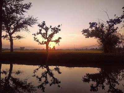 Bahar Abad