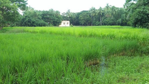Kotbar