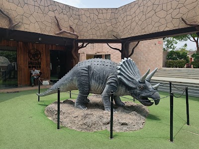 Dinosaur Fossil Park and Museum