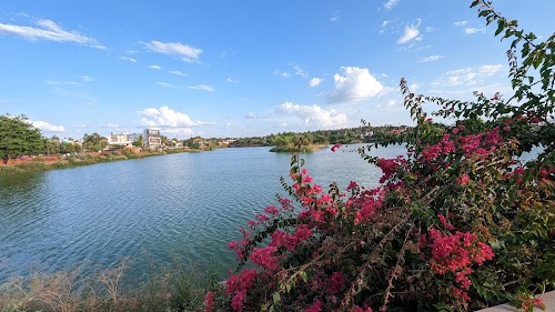 Tolankere