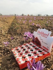 Daljheel Saffron Company