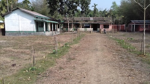Nayagaon Govt. J. B. School