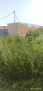 Kamalpur