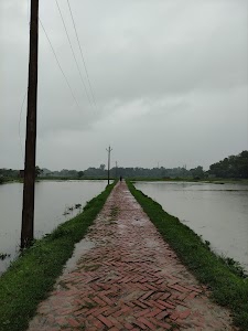 Jogging Track