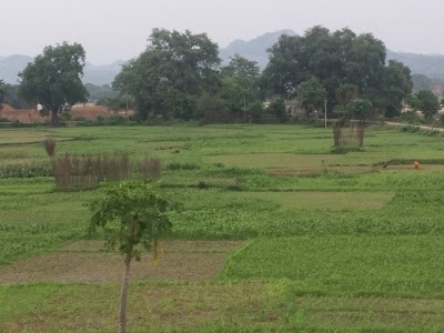 Pathaldiha