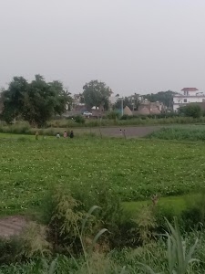 Shree ram bricks PVT LTD mahtapur beswan