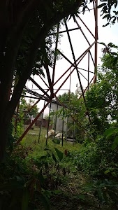 Airtel Tower