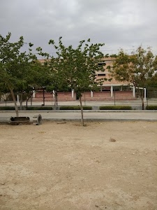 SHRI LAL BAHADUR SHASTRI B.ED COLLEGE