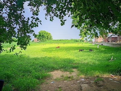 Ekdil
