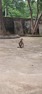 Padarpada