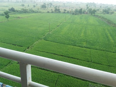 Punawale