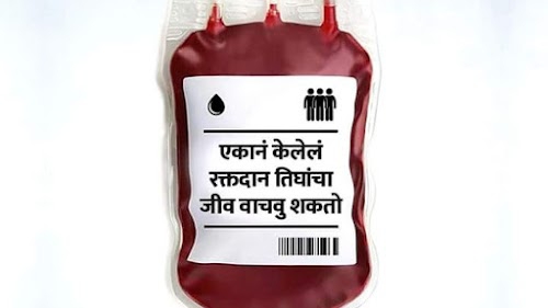MSI Blood Bank sangli