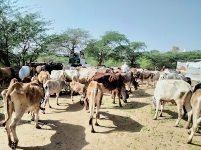 Farm house Dhurua