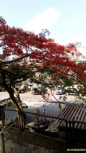 Vijay Nagar