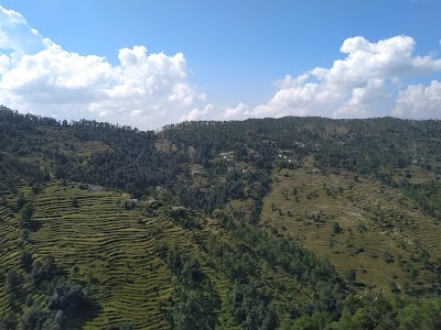 Chanoli