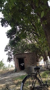 Himachal rai