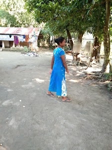 Jambuguri F.V.