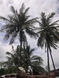 Nipani Vadgaon