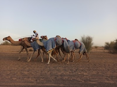 Lehbab