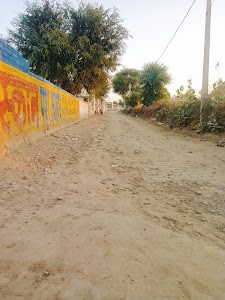 Bhabhuta Singh Rao Ji Temple