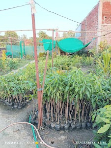 VINDVASHANI NURSERY