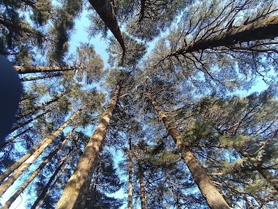 ECO PARK