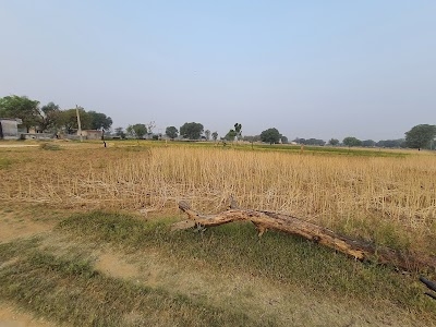 Jaipur Wale Residence and Farms