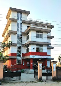 Napi Office, Damak