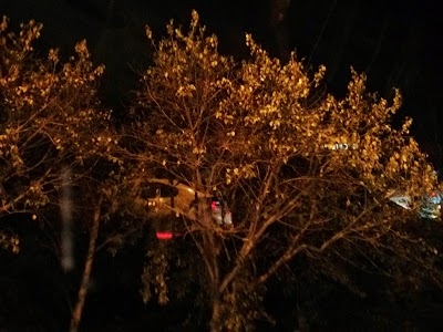 Shivalik Colony, Malviya Nagar