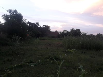 Parsan