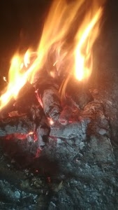 Chalauli