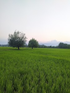 Nowpora Kalan