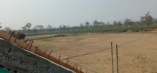 Chandmari Tea Estate