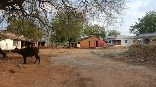 Patidar Kampa