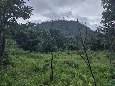 Boridand hills