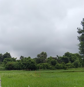 Nawaz Garden