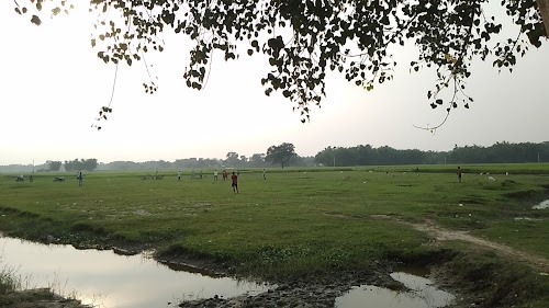 CRICKET FILD SHREEPUR