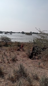 Badanpar