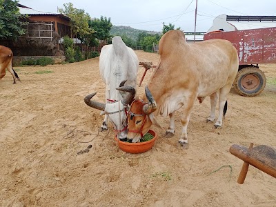 Nandgaon Gau Shala